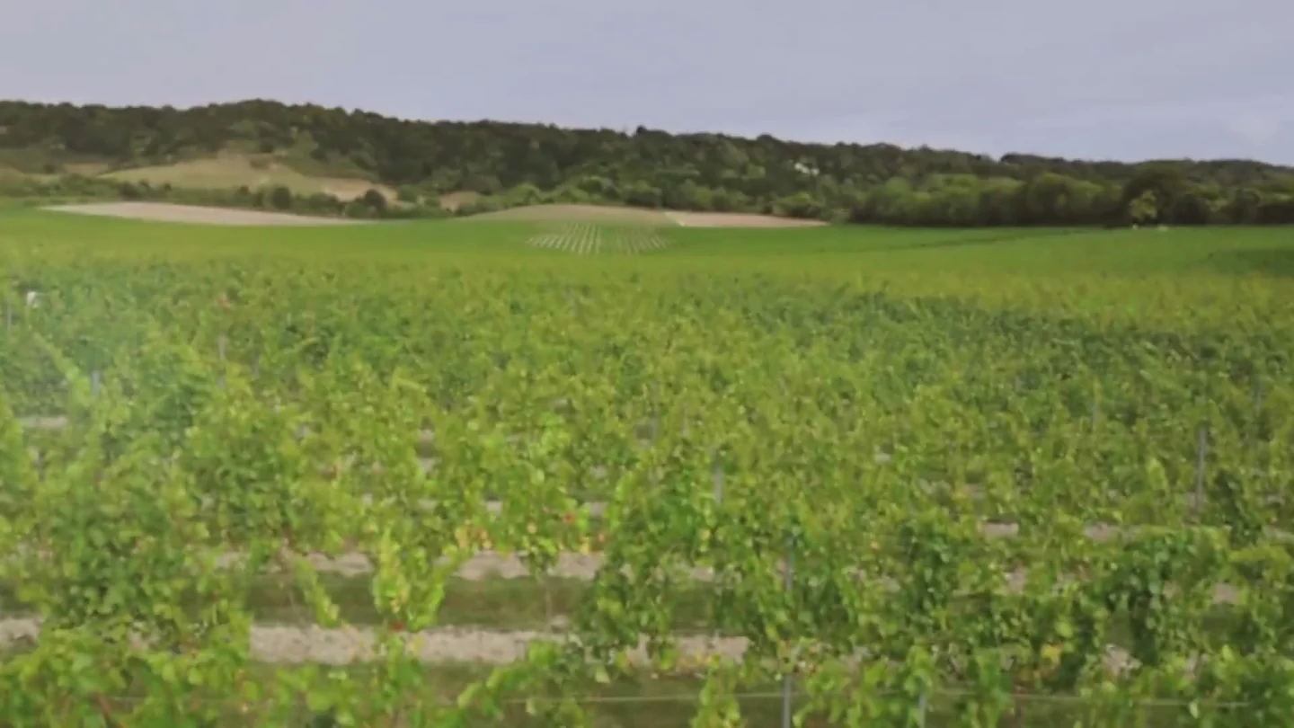 England’s Finest Award-Winning Wines